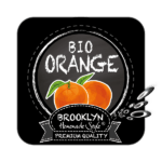 Logo Brooklyn BIO Orange